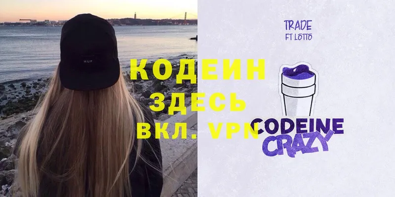 shop состав  Игра  Кодеин Purple Drank  купить  цена 